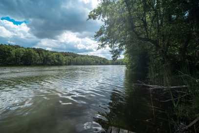 Dom Sprzedaż Tarnów Jezierny