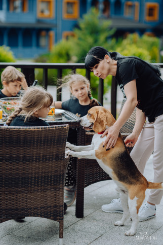 Mieszkanie Sprzedaż Szklarska Poręba Mikołaja Kopernika 69